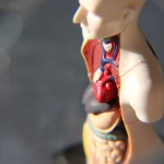 In der Biofeedback-gestützten Therapie geht es darum, die Wahrnehmung für körperliche Vorgänge zu verfeinern,</br>um diese günstig beeinflussen zu können
