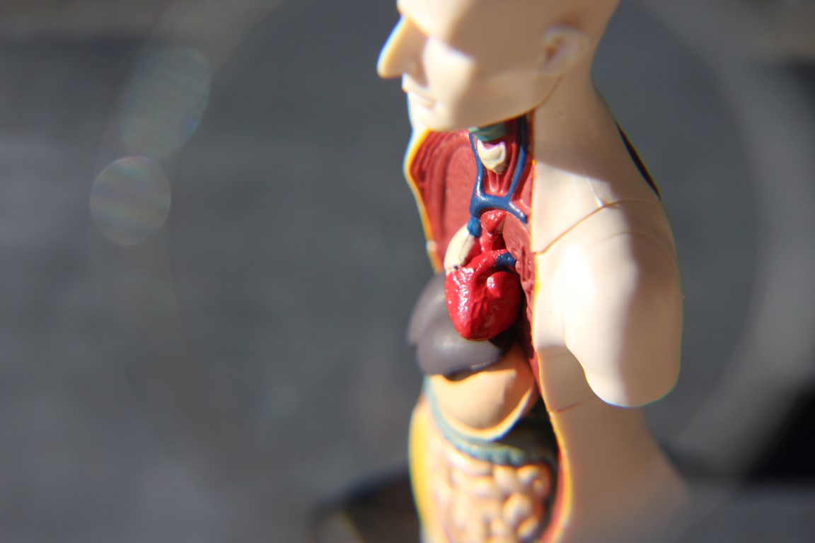 In der Biofeedback-gestützten Therapie geht es darum, die Wahrnehmung für körperliche Vorgänge zu verfeinern,</br>um diese günstig beeinflussen zu können