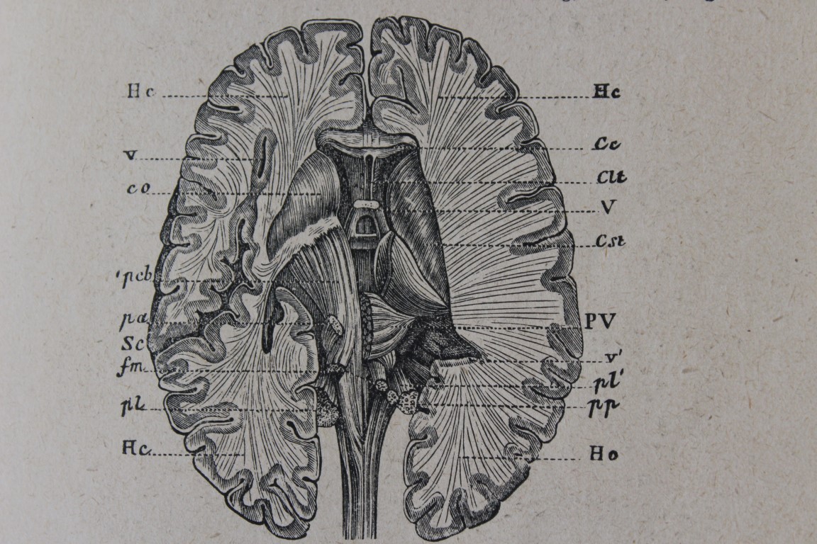 Bis ins frühe 20. Jahrhundert war das Wissen über die physiologischen Grundlagen des Geistes sehr begrenzt.</br>Inzwischen hat der Fortschritt in Wissenschaft und Technik die Neurowissenschaften revolutioniert