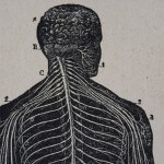ICD-10 Internationale Klassifikation psychischer Störungen der Weltgesundheitsorganisation WHO -</br>  Die historischen Wurzeln der Klassifikation psychischer Störungen reichen bis in die (vor)hellenistische Zeit zurück.</br> Schon die alten Griechen kannten die wesentlichen Kategorien psychischer Störungen und wussten,</br> dass sie anhand ihrer Symptome klassifiziert werden sollten.</br>  Die Auswirkungen der antiken Klassifikation lassen sich in den heutigen, «modernen» Diagnosesystemen wie ICD-10 erkennen.